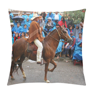 Personality  Peruvian Paso Horse Prances In Parade In Peru Pillow Covers