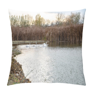 Personality  The Swan Swimming On The River, Beautiful Peaceful Place In Nature Pillow Covers