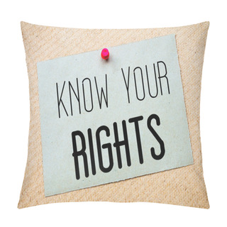 Personality  Know Your Rights Message Pillow Covers