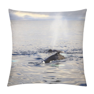 Personality  Diving Humpback Whales Pillow Covers