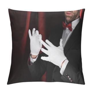 Personality  Cropped View Of Magician Taking Off White Gloves In Circus With Red Curtains Pillow Covers