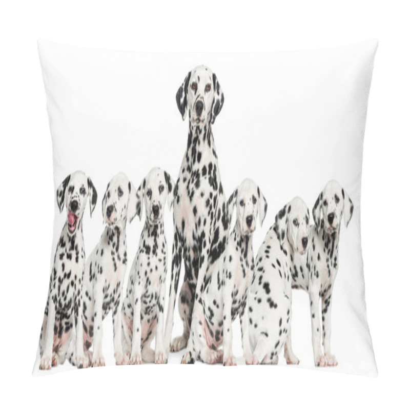 Personality  Mother Dalmatian Sitting Between Her Puppies Pillow Covers