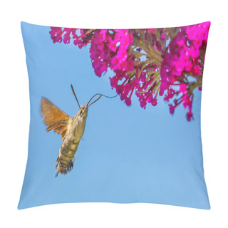 Personality  Hummingbird Butterfly Eating Nectar From Flower Of Butterfly Bush With Blue Sky Pillow Covers