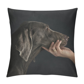 Personality  Weimariner Dog At Profile Pillow Covers