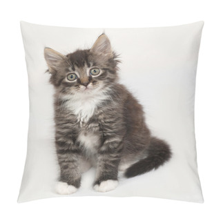 Personality  Siberian Fluffy Tabby Kitten Sitting  On Gray  Pillow Covers
