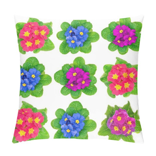 Personality  Beauty Spring Primula Flowers Pillow Covers