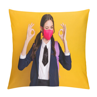 Personality  Portrait Of Joyful High School Teenager Girl Enjoy Lecture Lesson Show Okay Sign Wink Blink Wear Black Jacket Blazer Isolated Over Yellow Color Background Pillow Covers