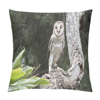 Personality  The Masked Owl Is Perched In A Tree Singing Pillow Covers