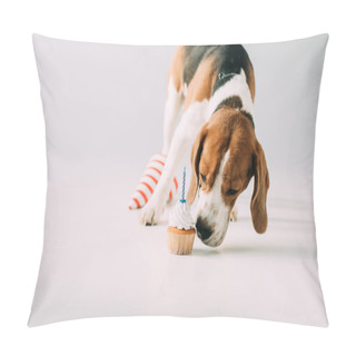 Personality  Cute Beagle Dog Smelling Cupcake Near Party Cap  On Grey Background Pillow Covers