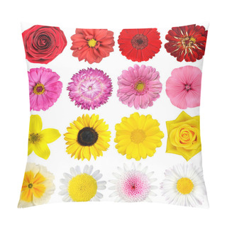 Personality  Big Selection Of Various Flowers Isolated On White Pillow Covers