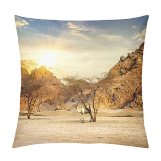 Personality  Camel In Mountains Pillow Covers