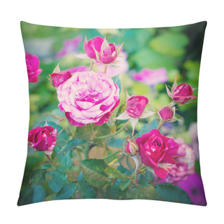 Personality  Bush Of Pink Roses Pillow Covers