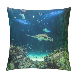 Personality  Large Sawfish And Other Fishes Swimming In A Large Aquarium Pillow Covers