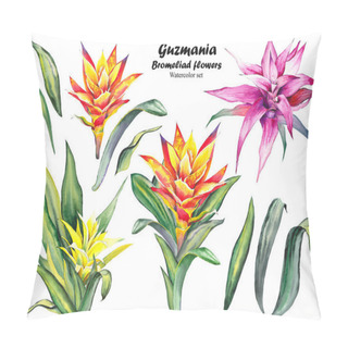Personality  Set Of Guzmania Bromeliad Flowers. Watercolor Illustration On White Background. Pillow Covers