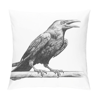 Personality  Pencil Drawing Of Raven  Pillow Covers