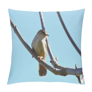 Personality  Wren - Jenny Wren - Troglodytes Troglodytes Pillow Covers