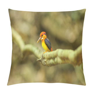 Personality  Bird In Nature Pillow Covers