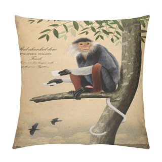 Personality  Monkey Drinking Tea Pillow Covers