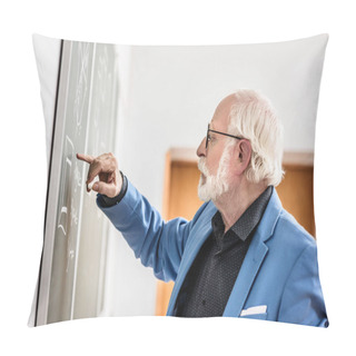 Personality  Side View Of Grey Hair Professor Correcting Something At Blackboard Pillow Covers