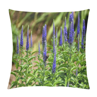 Personality  Vibrant Color Blazing Star Flowers At Garden Area Georgia, USA. Pillow Covers