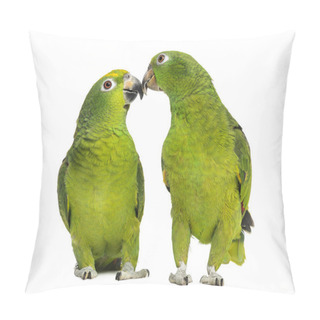Personality  Panama Amazon And Yellow-crowned Amazon Pecking, Isolated On Whi Pillow Covers