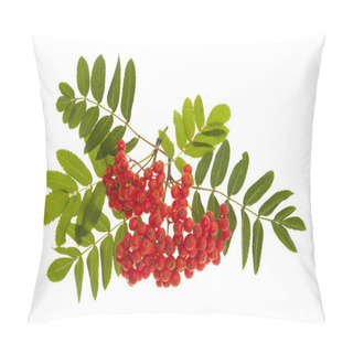 Personality  Mountain Ash Berries Pillow Covers