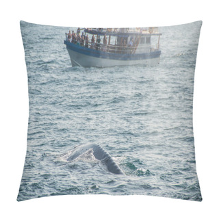 Personality  Blue Whale Back Pillow Covers