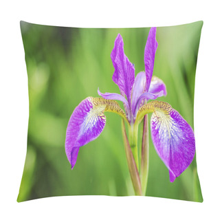 Personality  Poetic Purple Flower Pillow Covers
