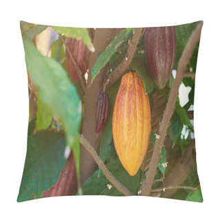 Personality  Group Of Cacao Pods Pillow Covers