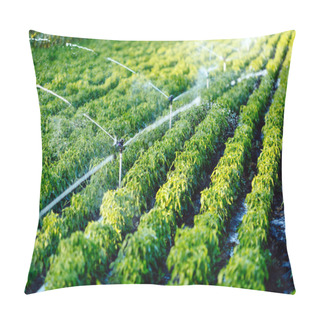 Personality  Irrigation System In Function Pillow Covers