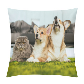 Personality  Cute Welsh Corgi Dogs And British Longhair Cat On Floor At Home Pillow Covers