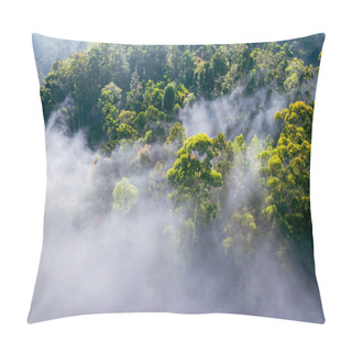 Personality  Tropical Rainforest In Sri Lanka. Aerial View. Foggy Tropical Landscape. Tea Plantation From Above. Pillow Covers