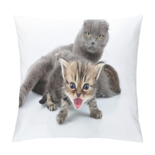 Personality  Shouting Baby Kitten With The Family Pillow Covers