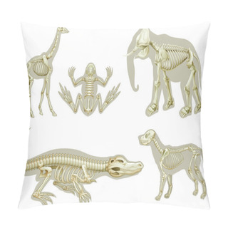 Personality  Skeletons Of Animals Pillow Covers
