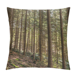 Personality  Evergreen Forest On Hill In Mountains  Pillow Covers