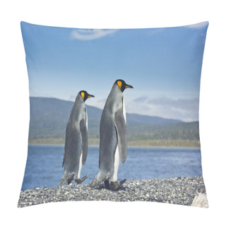 Personality  Two King Pinguins Near Sea Pillow Covers