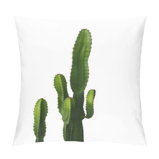 Personality  Ornamental Spiny Plant With Green Succulent Stems Of Cactus Isolated On White Background, Clipping Path Included. Pillow Covers