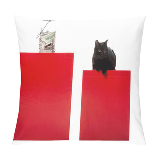 Personality  Black British Shorthair Cat Sitting On Red Cube Near Jar With Cash Money Isolated On White Background  Pillow Covers