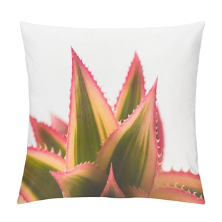 Personality  Pink Pineapple Closeup Pillow Covers