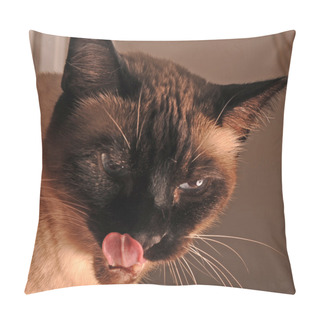 Personality  Cat And Tongue Pillow Covers