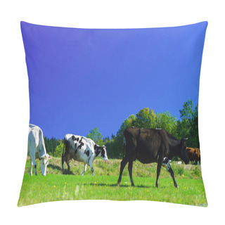 Personality  French Cows On Green Field Pasturage Pillow Covers