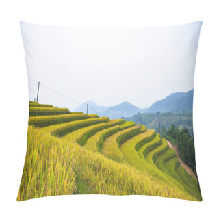 Personality  Rice Fields On Terraced. Fields Are Prepared For Planting Rice. Hoang Su Phi, Ha Giang Province. Northern Vietnam Pillow Covers