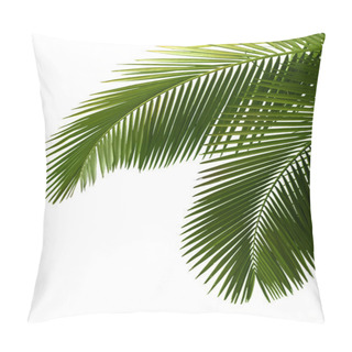 Personality  Leaves Of Palm Tree Pillow Covers