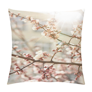 Personality  Close Up Of Tree Branches With Blooming Flowers And Shining Sun Pillow Covers