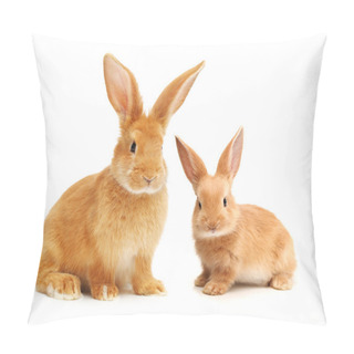 Personality  Orange Rabbits Pillow Covers