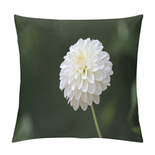 Personality  Dahlia Pink Flower Pillow Covers