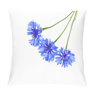 Personality  Blue Cornflower - Centaurea On A White Background Pillow Covers