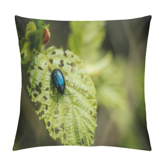 Personality  Forest Beetle On A Young Green Spring Leaf. Pillow Covers