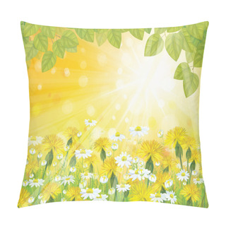Personality  Vector Sunshine Background With Branches Of Leaves, Chamomiles Pillow Covers