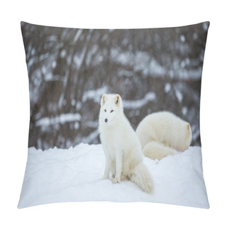 Personality  Close-up Shot Of Beautiful Arctic Fox On Nature Pillow Covers